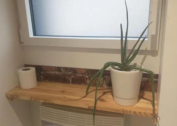 Tatil Evi Le Ptit Canot - Au Coeur - Parking Prive