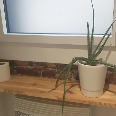 펜션 Le Ptit Canot - Au Coeur - Parking Prive