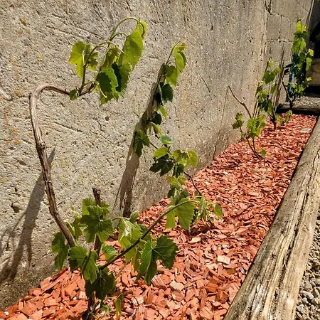 펜션 Le Ptit Canot - Au Coeur - Parking Prive *