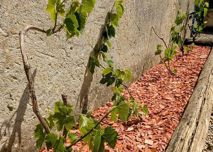 Prázdninový dům Le Ptit Canot - Au Coeur - Parking Prive *